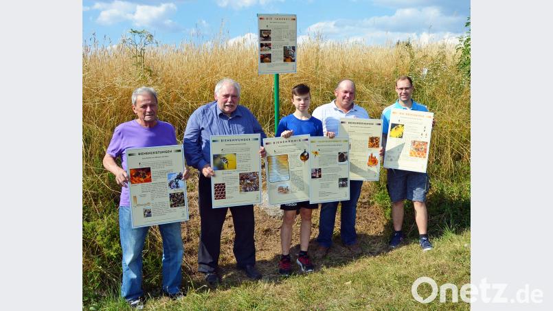 Richard Fraunholz, Kreisvorsitzender Reinhold Ziegler, David Wilterius, Jürgen Deitzer und Florian Kroher (von links) vom Imkerverein machen den Imkerlehrpfad sommerfit. Auf sieben Tafeln kann man sich dort nun über die Welt der Bienen informieren. ü