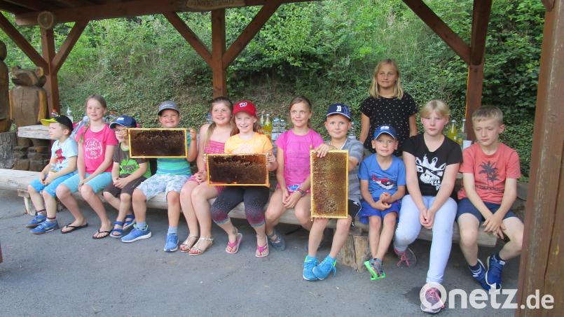 Zusammen erkunden die jungen Teilnehmer der "Streuobstwiesenaktion" das Reich der Bienen. Drei der „Jungimker“ untersuchen die Honigwaben. rn