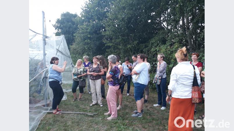 Rita Mulzer (links) kann ihre Begeisterung für die Beeren nicht verbergen. wlr