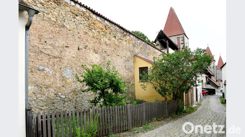 Der Efeu, der die Stadtmauer im Bereich der Jesuitenfahrt bedeckt hat, war Thema im Umweltausschuss. War es nun erlaubt oder hat sich die Stadt Amberg strafbar gemacht, wollte Hans-Jürgen Bumes von den Grünen wissen. Petra Hartl