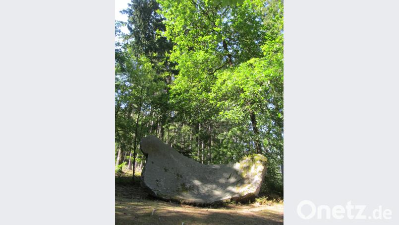 Auch das Naturdenkmal &quot;Sattelross&quot; ist Teil des Lehrpfads. bl