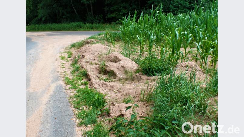 Die betroffenen Landwirte haben, so gut es geht, die ausgeschwemmte Erde von der Straße geholt und sie zum provisorischen Schutzwall angehäuft. jml