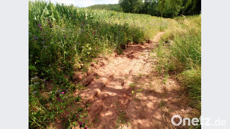 Tiefe Furchen im Ackerboden. Das Wasser hat allen Humus mitgerissen. Auch der Erosions-Trennstreifen ist gegen diese Gewalt machtlos jml