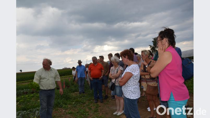 Fritz Steinhilber erklärte beim Tag der offenen Tür in seiner Bioland-Gemüsegärtnerei den biologischen Anbau und die Fruchtfolge und führte die Besucher durch Felder und Gewächshaus. gi