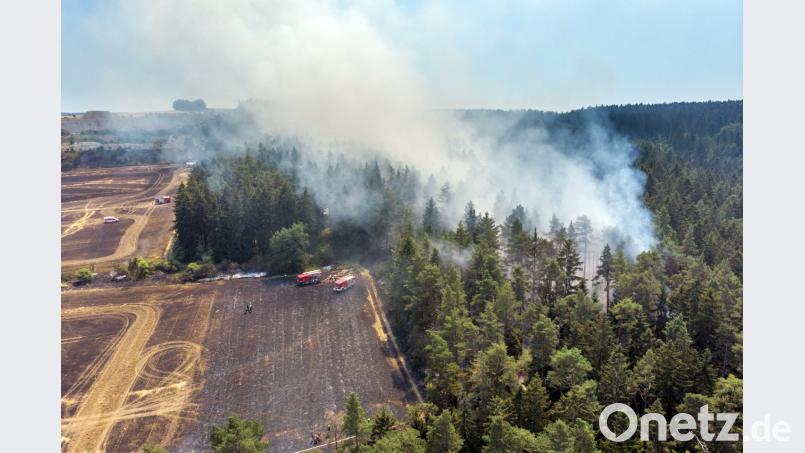 Wegen des trockenen Hitzewetters steigt wieder die Gefahr von Waldbränden. Johannes Krey/dpa