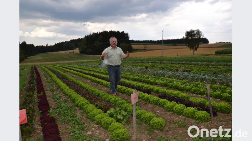 Fritz Steinhilber erklärte beim Tag der offenen Tür in seiner Bioland-Gemüsegärtnerei den biologischen Anbau und die Fruchtfolge und führte die Besucher durch Felder und Gewächshaus. gi