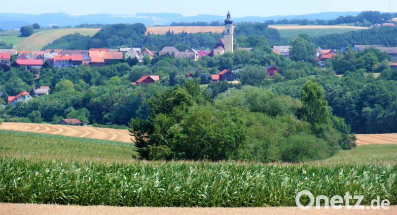 Die Gebüschinsel in der Bildmitte ist ein Biotop im Flurbereich Armenlohe. Es könnte nach dem Vorschlag aus der Marktratsitzung zum Hochwasser- 		Rückhaltebereich umfunktioniert werden. jml