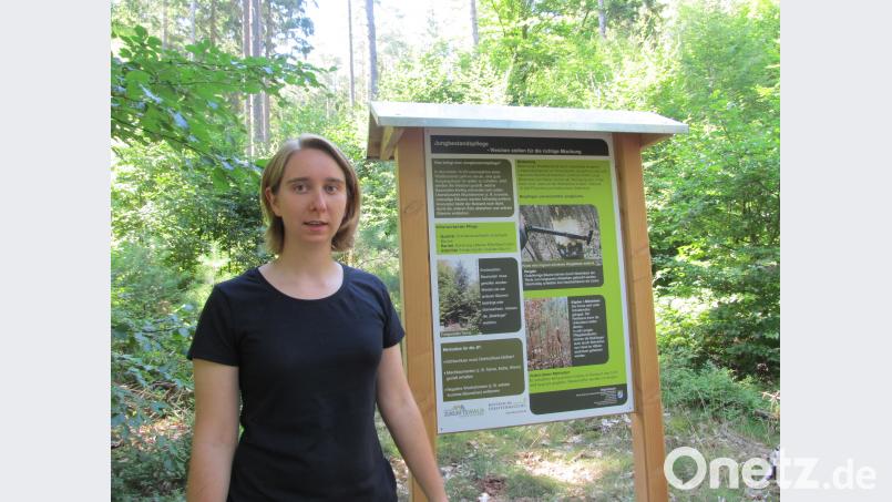 Hannah Sieren erklärt die Bildtafeln. bl