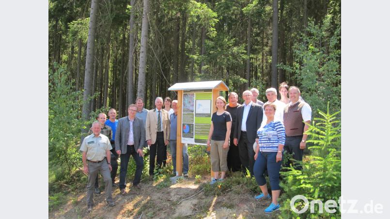 Der vorbildhafte Wald der Kirchenstiftung von Dieterskirchen und Niedermurach beeindruckt nicht nur Fachleute wie Alwin Kleber (links) und Vertreter der Waldbesitzervereinigung. Auch Lokalpolitiker wie MdL Alexander Flierl (Vierter von links), Landratsstellvertreter Arnold Kimmerl (Sechster von links) und MdB Karl Holmeier staunten über die neue Mischung im Wald. bl