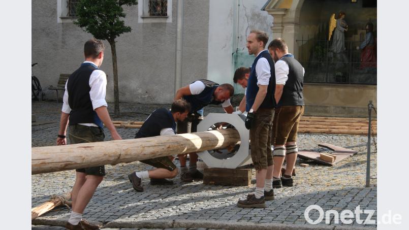 Gemeinsam sind wir stark: Die Burschen stellen den Baum für die Pressather Kirwa auf. sne