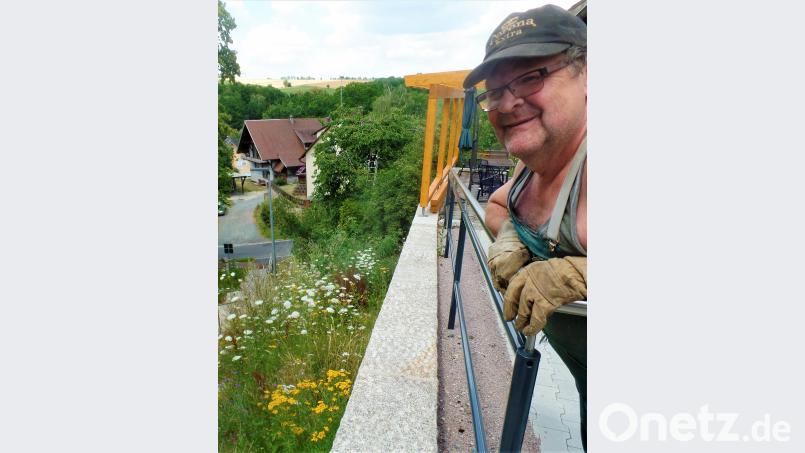 Noch viel mehr blühende Sträucher, als hier zu sehen, säumen die Treppe am Fuchsberg. jml