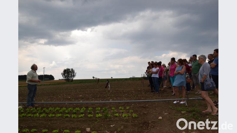 Fritz Steinhilber erklärte beim Tag der offenen Tür in seiner Bioland-Gemüsegärtnerei den biologischen Anbau und die Fruchtfolge und führte die Besucher durch Felder und Gewächshaus. gi
