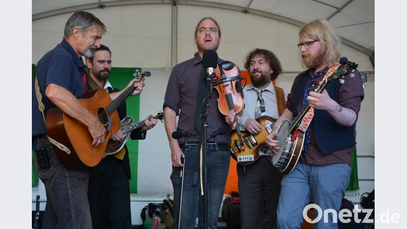 Die „Munich String Band“ (Bild) brachte den Gästen das Lebensgefühl und die ganz besondere Musik der Iren näher. jr