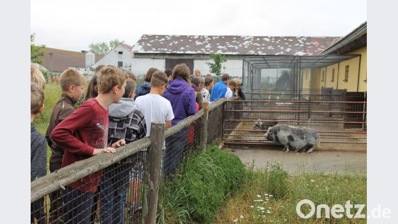 Die Schüler im Ekocentrum exb
