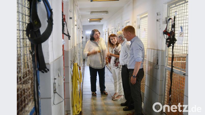 Die Zwinger im Tierheim entsprechen schon lange nicht mehr den Auflagen, erklärt Tierschutz-Verein-Vorsitzende Mariele Junak (links). Die SPD-Stadträte, darunter Fraktionschef Roland Richter (rechts), favorisieren den Neubau auf einem angrenzenden Waldstück. Gabi Schönberger