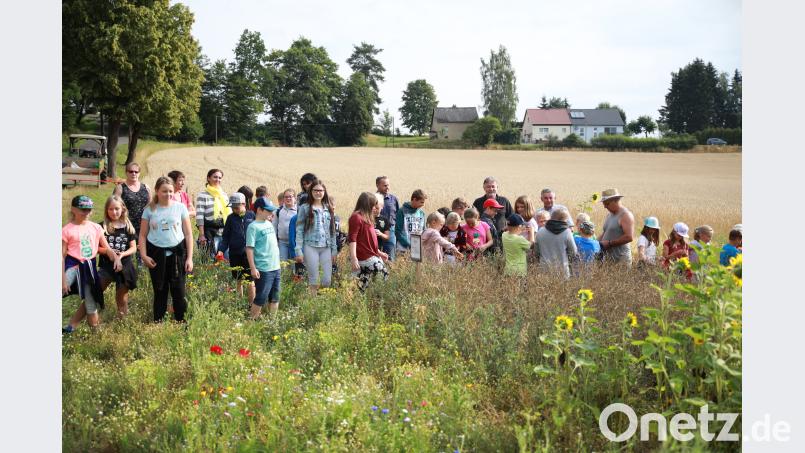 Einen Ausflug auf die Felder von Landwirt Karl Nikol machen die vierten Klassen im Unterricht auf Einladung des Bayerischen Bauernverbandes. njn