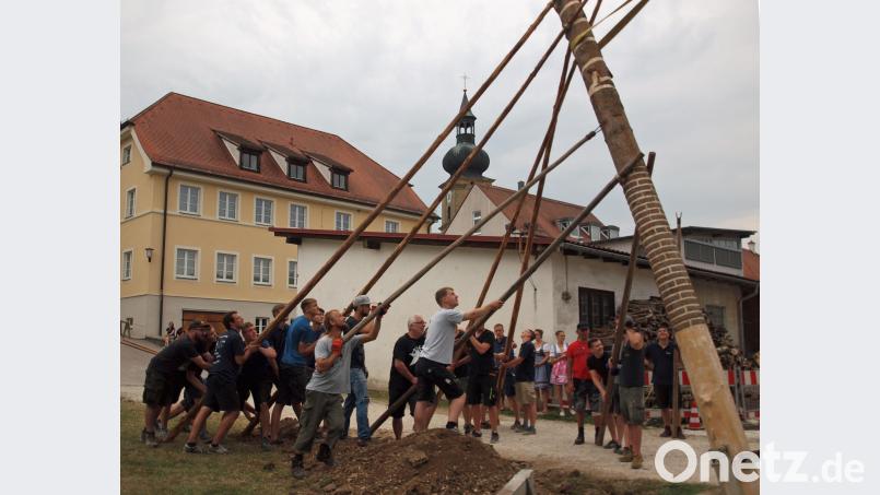 „Auf geht’s, pack ma’s a! Hau – ruck!“ auf das Kommando des Baummeisters Martin Reiser wurde der Kirwabaum mit Goißn aufgestellt. Im Hintergrund grüßt die Pfarrkirche St. Jakobus. sön