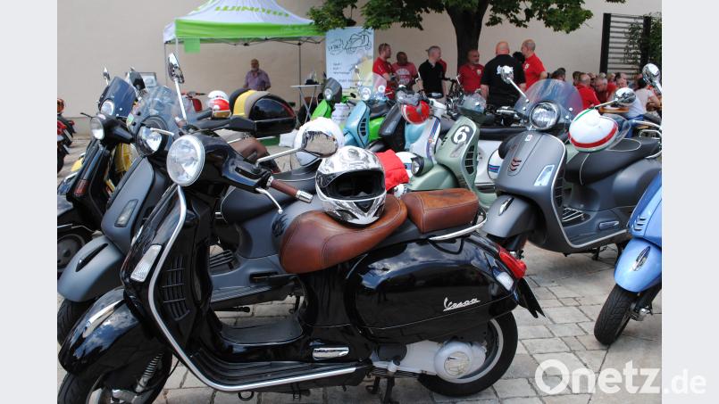 Wespen-(Vespa-)schwarm in Schwarzenbach gag
