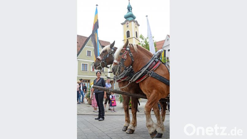 800 Jahre Neustadt Festzug Gabi Schönberger