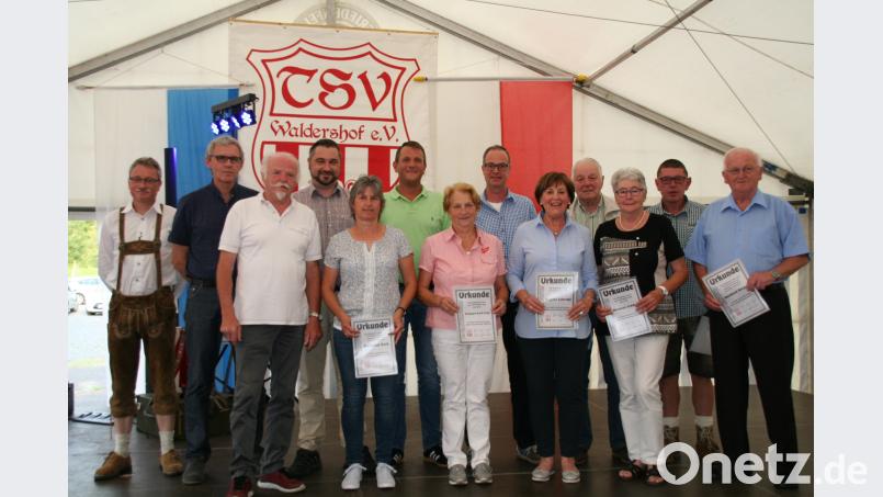 Im Bild Vorstandssprecher Bernd Aßmann (von links), Harald Fritsch, Vorsitzender Gerhard Greger, Tobias Grimmer, Waltraud Dick, Jens Ernstberger, Hildegard Koch-Popp, Jürgen Greger, Brigitte Schraml, Erwin Schreyer, Marianne Schmidt, Michael Schöffel und Reinhard Burger. fpoz