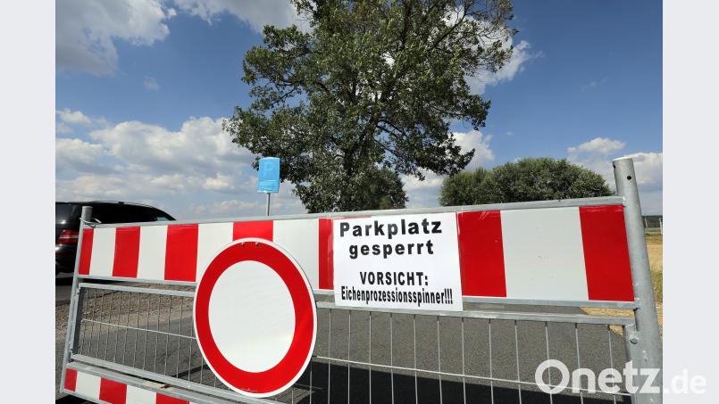 Während in der Stadt Amberg schon an einem Konzept zum Umgang mit dem Eichenprozessionsspinner gearbeitet wird (im Bild ein gesperrter Parkplatz bei Ammersricht), ärgert sich ein AZ-Leser über die Aussage von Bürgermeister Josef Reindl im Kreisausschuss, dass es sich um ein mehr mediales denn reales Problem handle. Wolfgang Steinbacher