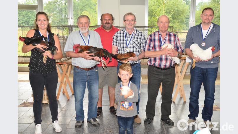 Vorsitzender Alfred Sauer (hinten) überreichte die Siegermedaillen an (von links) Sabrina Sauer, Erhard Schwarzmeier, Josef Pohl, Karl Schwarz und Stefan Stauber, sowie Emilio Sauer (vorne). Bild: fjo fjo