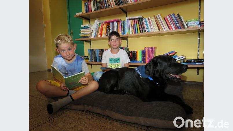 &quot;Buddy, hör&#039; bitte mal zu!&quot;, sagt Jonas.. Buddy lässt sich das nicht zweimal sagen. Er streckt sich auf seinem riesigen Kissen gemütlich aus undlässt sich von den beiden achtjährigen Jungs, Jonas (vorne) und Rene, aus der ersten Klasse eine Geschichte vorlesen. ubb
