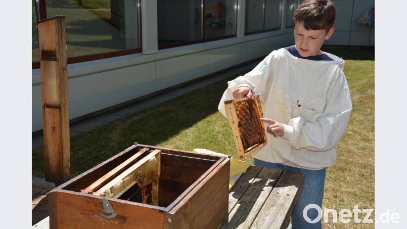 Stolz zeigten die Kinder die Herstellung von eigenem Bienenhonig jr