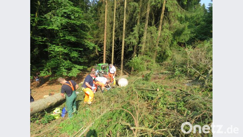 Die Bergwacht musste anrücken, um den verletzten Waldarbeiter zu befreien. piam