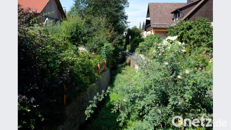 Ein Hochwasserschutzkonzept, das die Oberbibracher vor Überschwemmungen durch den Biberbach (Bild) schützt, ist Voraussetzung für die Aufnahme des Ortes in das Dorferneuerungsprogramm des Freistaats. Als ersten Schritt beauftragte der Gemeinderat ein Fachbüro mit der Erstellung der Studie. do