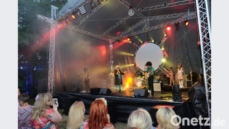 Markus Engelstädter als Brad Hering mit der Golden Glitter Band auf der Bühne. bey