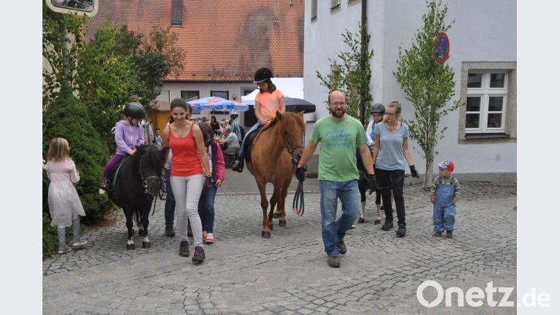 Das Ponyreiten war eine Wucht für Kinder. Seit die Familie Malzer im Luhetal wohnt, ist auch für einen Ausritt gesorgt. dob