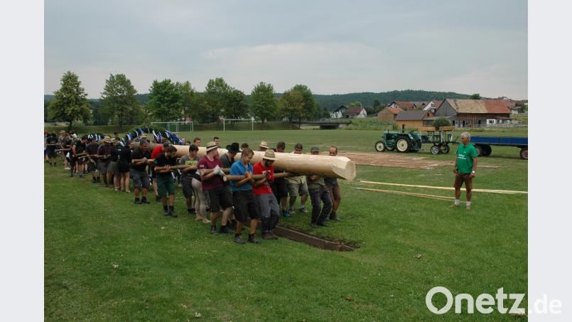 Mit Muskelkraft wurde der stattliche Kirwabaum aufgestellt. Bild: nib