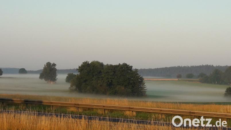 Ein Sommermorgen erwacht. Elisabeth Dobmayer