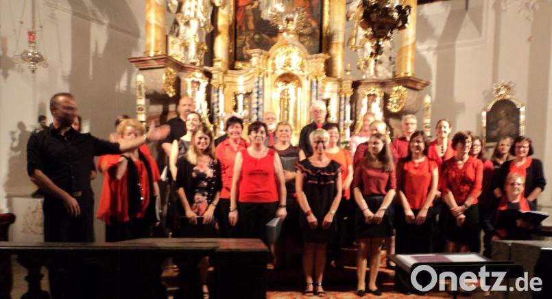 Der Kirchenchor aus Fronberg unter seinem Leiter Christian Lehnerer (links) verbreitete mit seinen religiösen Liedern eine Atmosphäre des Innehaltens. ksi