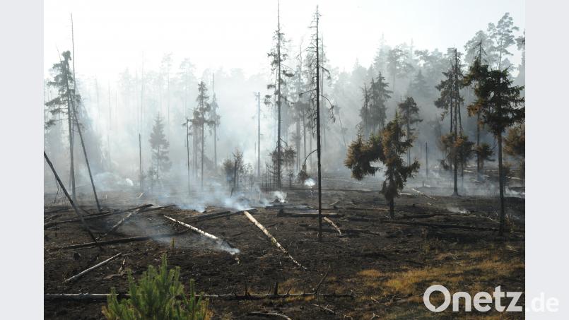 Die Rauchschwaden lösen sich langsam auf. Stellenweise glüht das Holz noch. Von dem abgebrannten Gebiet geht keine Gefahr mehr aus. GF, Autor [gf]