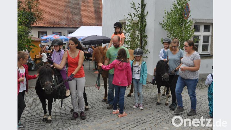 Das Ponyreiten war eine Wucht für Kinder. Seit die Familie Malzer im Luhetal wohnt, ist auch für einen Ausritt gesorgt. dob