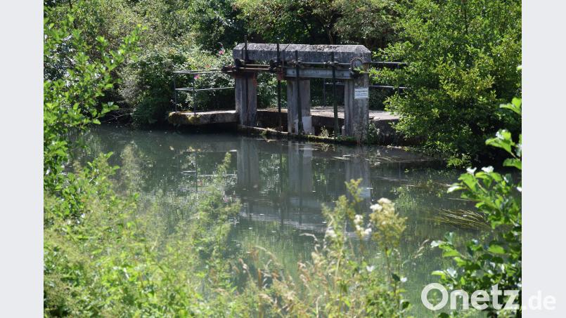 Idylle an der Lauterach ist dieser uralte Versatz in Adertshausen inmitten des Fauna-Flora-Habitat Gebietes unweit des Tummelplatzes für die Hufeisennasen. bö