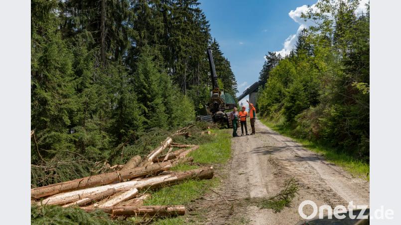 Harvesterunternehmer Anton Pscherer bespricht mit Josef Scherm und Peter Schöffel, beide Mitarbeiter der Bayerischen Staatsforsten, die Holzerntemaßnahme entlang der Langlaufloipe bei Warmensteinach. Martin Hertel