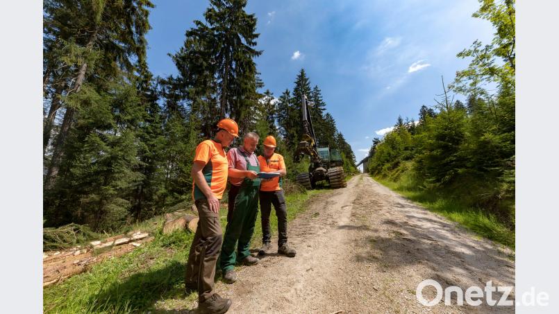 Peter Schöffel, Leiter des Forstreviers Weidenberg, bespricht mit Harvesterfahrer Anton Pscherer und Forstwirtschaftsmeister Josef Scherm vom Forstbetrieb Fichtelberg die Holzernte entlang der Loipe an der Sprungschanze Warmensteinach. Martin Hertel