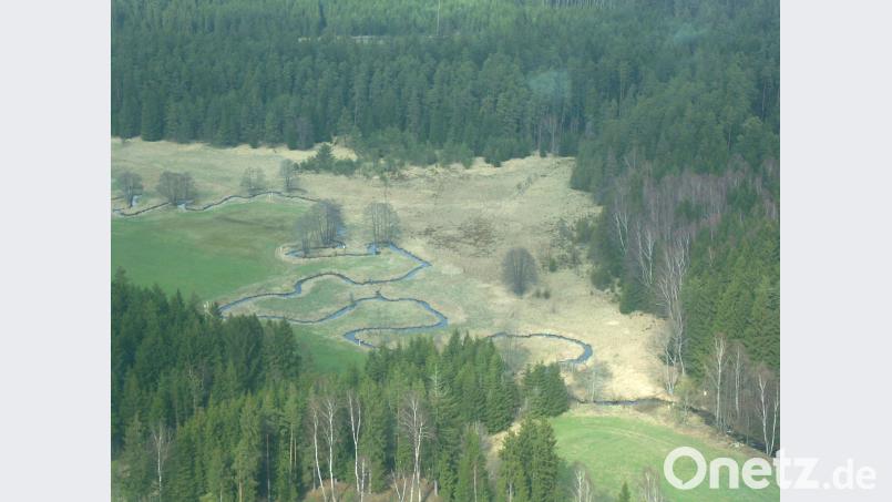 Der Grenzbach trennt seit ewigen Zeiten Bayern und Böhmen. Er ist nicht nur Vereinsgewässer, sondern wurde auch für die Namensgebung der Grenzbachfischer gewählt. fjo