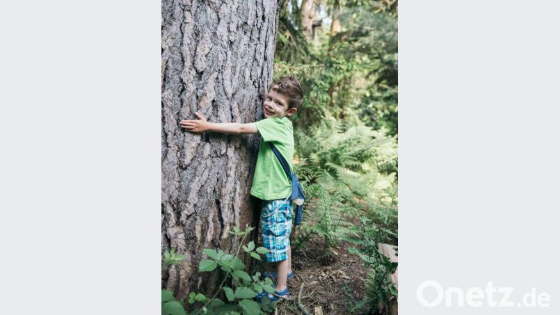 Endlich wieder zu Hause. Die Operation des fünfjährigen Basti in den USA ist nach Aussage der Ärzte positiv verlaufen. Seit Anfang Juni war er gemeinsam mit seinen Eltern in Amerika. exb