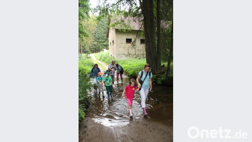 Der Forellenbach in der Langau präsentiert sich als eine herrliche Erlebniswelt für Goldwäscher aller Altersstufen. lg
