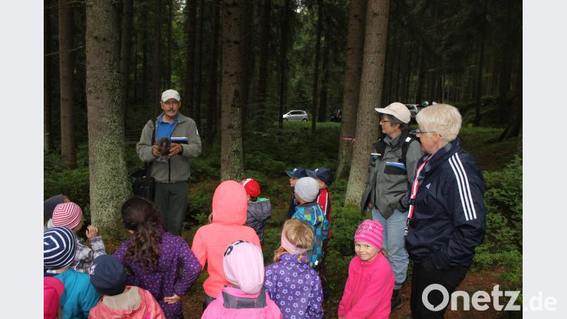 Walderlebniswochen der Kindergartenkinder des Kinderhauses "Unsere kleine Welt" aus Bärnau. exb