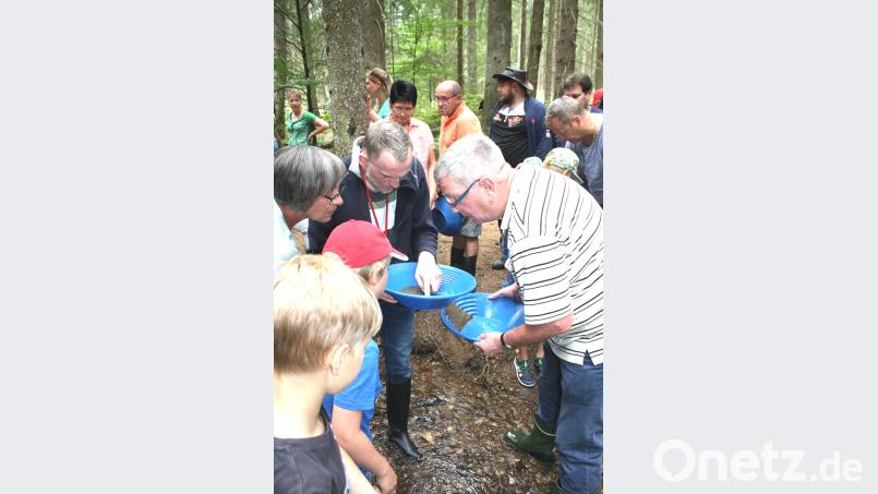 tDer Forellenbach in der Langau präsentiert sich als eine herrliche Erlebniswelt für Goldwäscher aller Altersstufen. lg