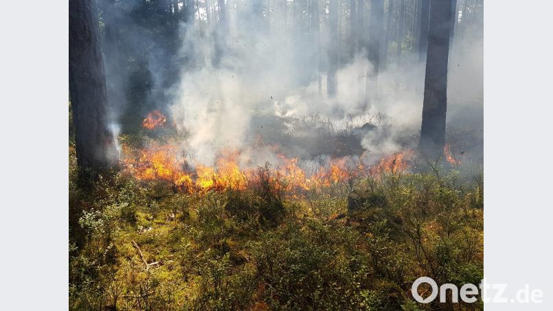 Das "Scharlmühlholz" zwischen Parkstein und Hammerles brennt lichterloh. Markus Mages/exb