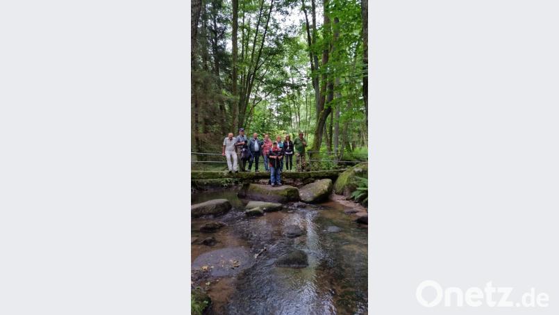 Die vor einem Jahr gegründete OWV-Gruppe ist auch im Lerautal unterwegs. Die Mitglieder würden sich über weitere Wanderfreunde freuen. sei