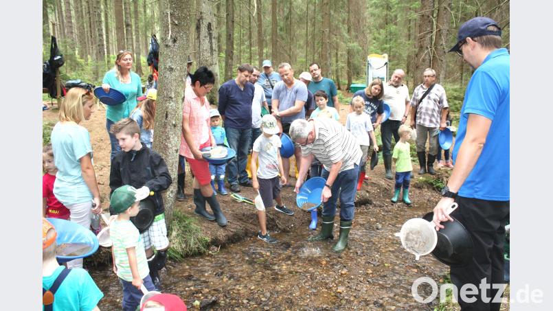 Der Forellenbach in der Langau präsentiert sich als eine herrliche Erlebniswelt für Goldwäscher aller Altersstufen. lg