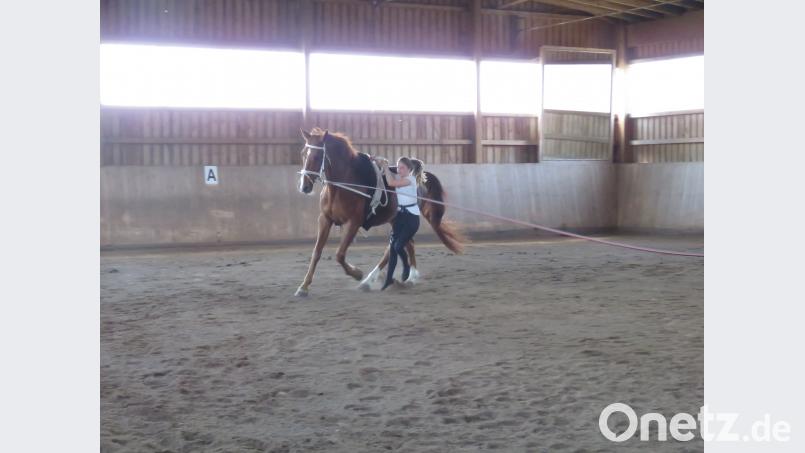 Luisa Zeitler rennt mit Gandalf mit und zieht sich im Galopp auf das Pferd hoch. ubb