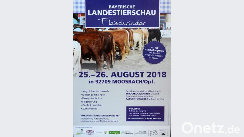 Erstmals werden sich bayerische Fleischrinderzüchter zur Landestierschau in der Oberpfalz treffen. Moosbach wird am 25. und 26. August im Mittelpunkt stehen. ck
